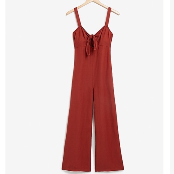 Express Linen blend tie front jumpsuit - Picture 4 of 6